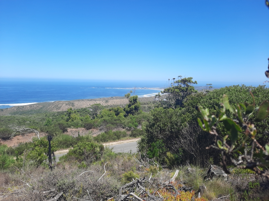 0 Bedroom Property for Sale in Brenton On Sea Western Cape